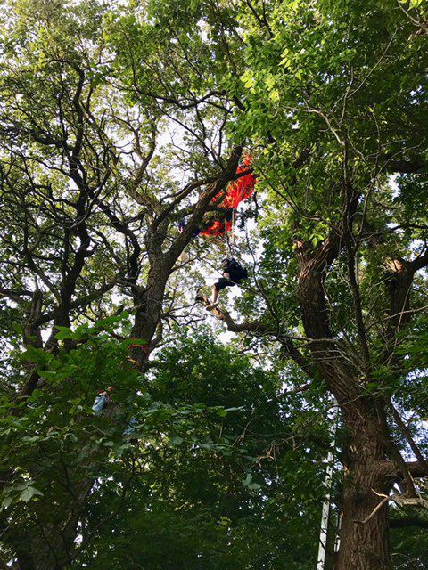 Skydiver rescued